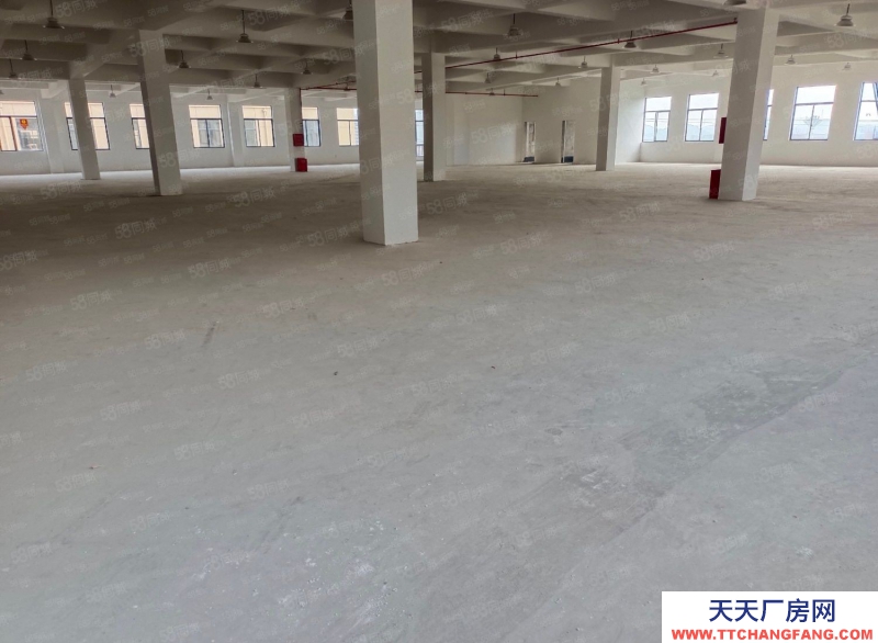 金華市永康(出售) 城西標準廠房出售占地1900平 建筑3500平 位置好