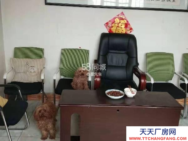 銀川市永寧物資倉(cāng)庫(kù) 三沙源向南2公里處農(nóng)村帶院磚瓦房（可干農(nóng)家樂(lè)，有果園）