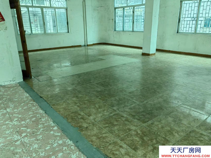 (出租) 陽江江城二環路城南附近 900方倉庫 加工廠 電商 廢品回收