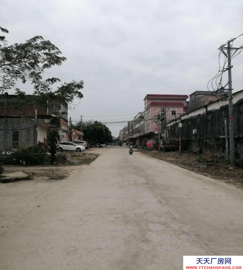 (出租) 陽江江城倉庫近津朗舊325國道城郊中學物流倉庫