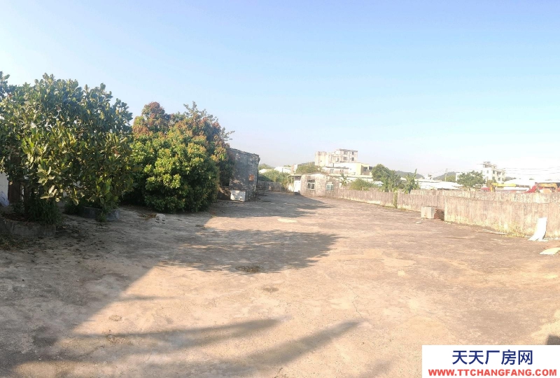 (出租) 陽江江城倉庫出租，共2400，倉庫+住房+辦公室+廚房+空地適合屠宰