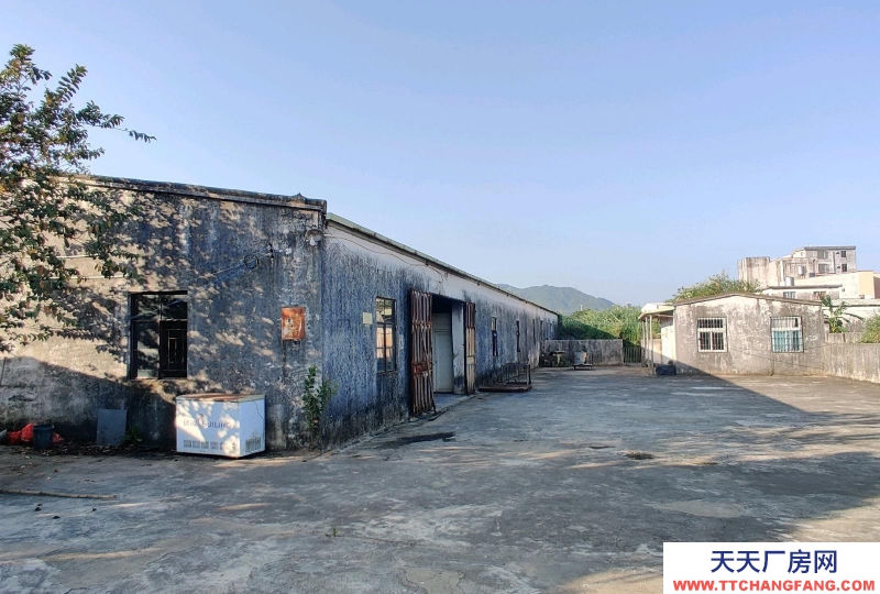 (出租) 陽江江城倉庫出租，共2400，倉庫+住房+辦公室+廚房+空地適合屠宰