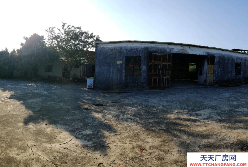 (出租) 陽江江城倉庫出租，共2400，倉庫+住房+辦公室+廚房+空地適合屠宰