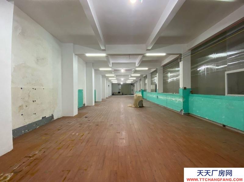 (出租) 陽江江城三環路大潤發對面倉庫出租食品倉庫