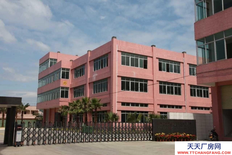 (出租) 陽江陽東專業物流場地 出入方便物流倉庫