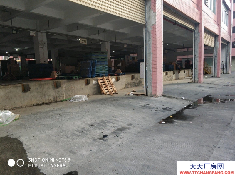 (出租) 陽江陽東專業(yè)物流場地 出入方便物流倉庫