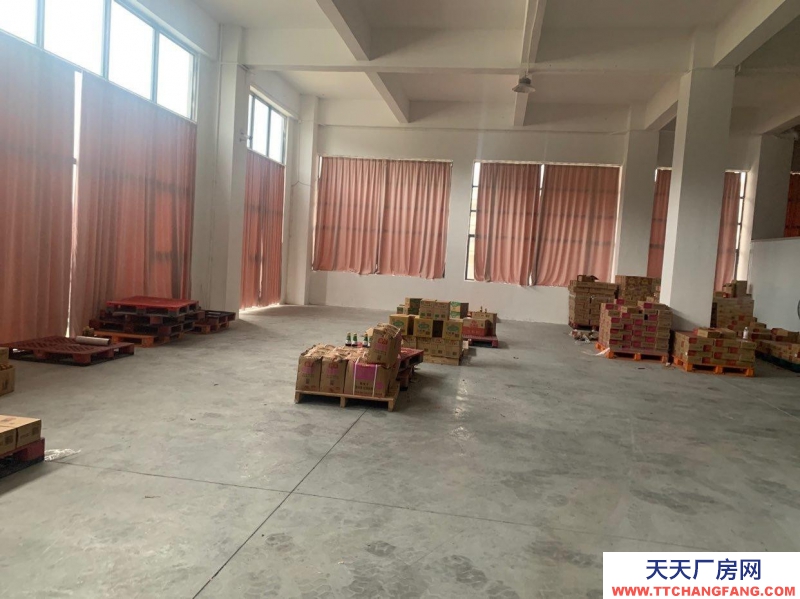 (出租) 陽江陽東倉庫出租，陽東工業園新325國道邊，集裝箱倉庫