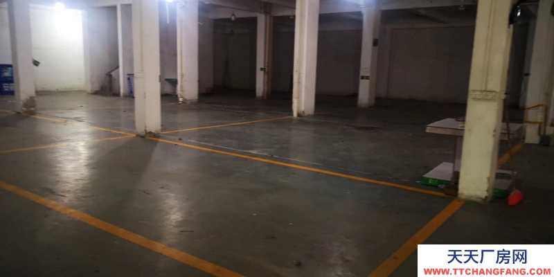 (出租) 陽江陽春出租800平方米廠房、倉庫適合倉儲、物流