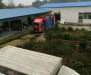 (出租) 信陽(yáng)潢川低價(jià)出租出售倉(cāng)庫(kù)帶冷庫(kù)設(shè)備三相電帶車位位置優(yōu)越價(jià)錢(qián)便宜