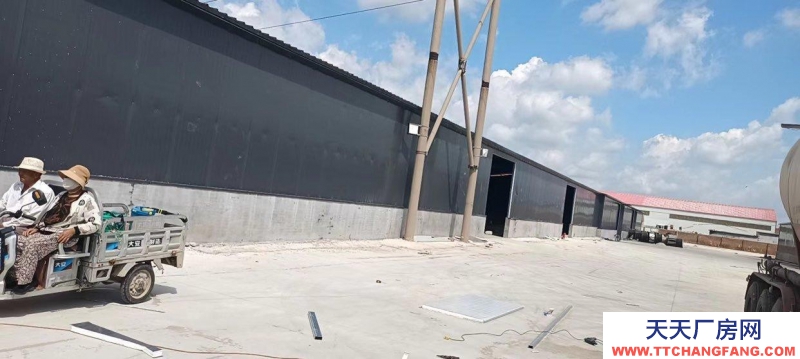 滄州 運河 (出租) 自家倉庫 不玩套路 接受看房租金可面議