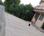 (出租) 信陽潢川溪店小學向東500m 大路旁邊 交通方便