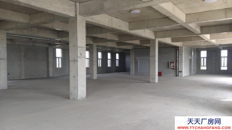 滄州 新華(出售) 出售滄州開(kāi)發(fā)區(qū)廠房 單層廠房多層食品廠房可定制