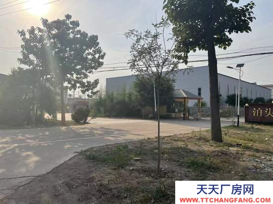 滄州 泊頭(出租) .滄州泊頭新建3000平標準天車蔬菜制品廠房出租（直租）