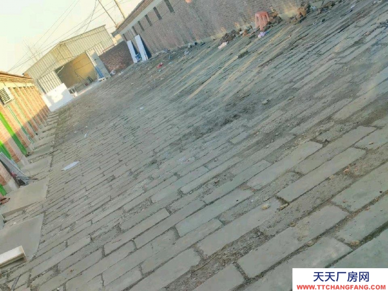 滄州 泊頭(出租) 裕華路鐵路大橋附近平房出租