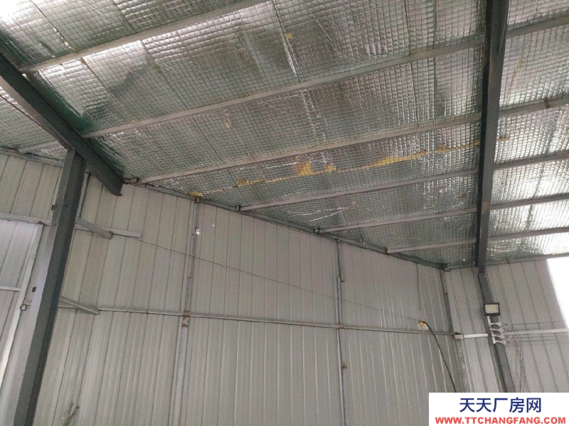 滄州 泊頭(出租) 裕華路北頭多個倉庫出租