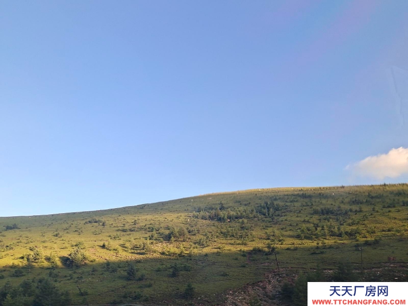 (出售) 包頭固陽地處包頭市固陽縣前期交界處無污染，環保養豬場