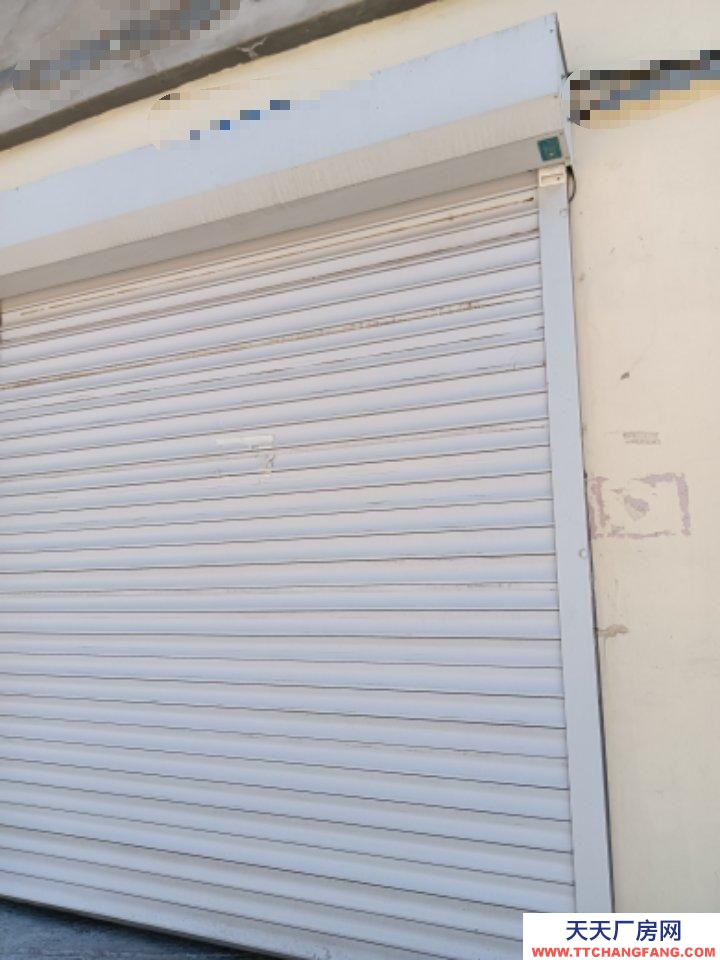 (出租) 南山車管所附近粗加工出租廠房庫房