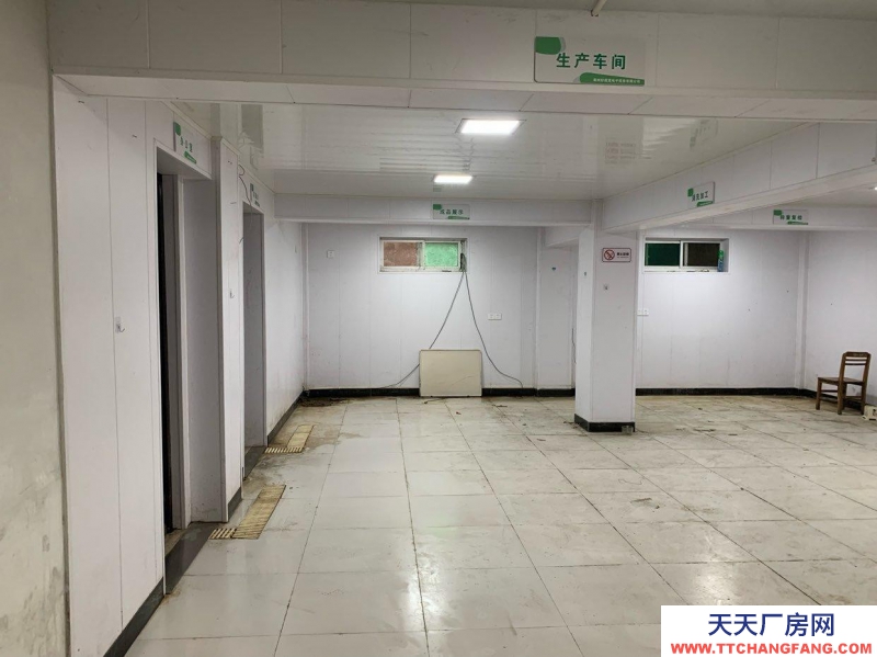 衢州市柯城(出租) 雙港中路200平米地下倉庫出租（可作冷凍庫或小型加工廠）