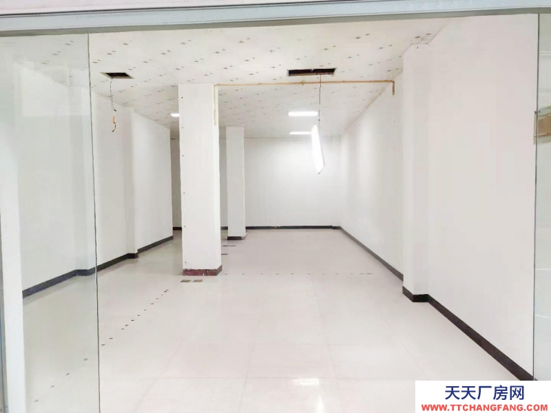 衢州市柯城(出租) 柯城南區百匯路丹桂小區金都花園辦公寫字樓倉儲倉庫住宅住宿開店