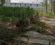 (出售) 駐馬店驛城正規(guī)房源，安全可靠，獨立廠房，可以養(yǎng)殖