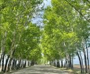 (出租) 駐馬店西平通間倉庫，可進3.8米廂貨