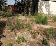 (出租) 駐馬店西平安全可靠，交通便利，