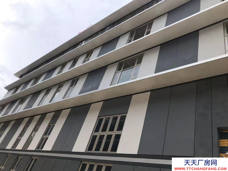 獨棟雙拼廠房，小面積戶型。