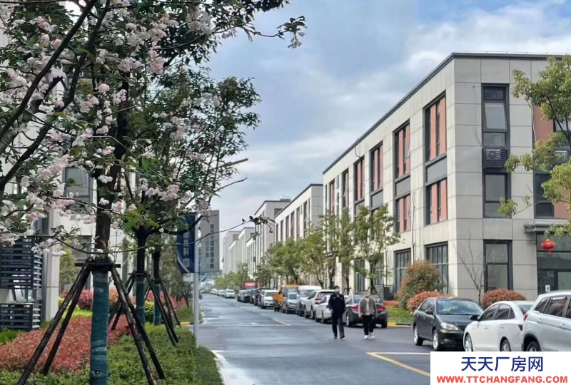 衢州市柯城(出售) 全新獨棟廠房，50年產權，可辦環評