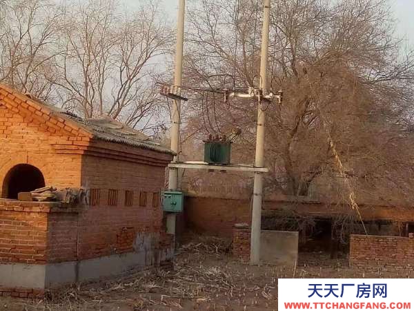 泰來江橋鎮中學 糧食加工廠房 5600㎡平米出租