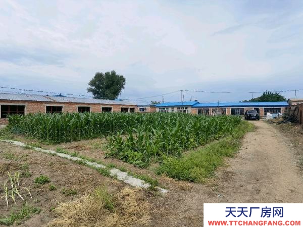 甘南房照面積：119平，無照住人80平，廠房200平 養殖廠房