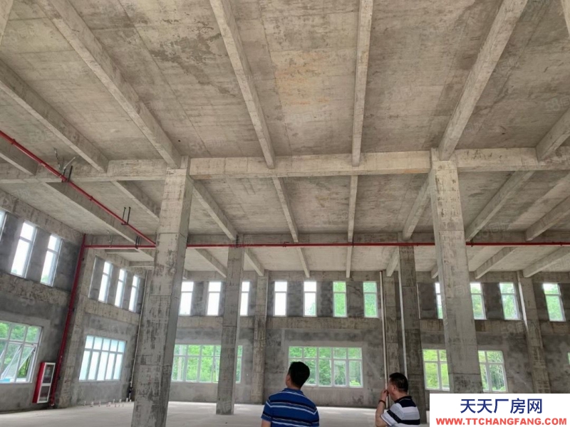 衢州市柯城(出售) 緊抓市場機遇，才能實現創收！