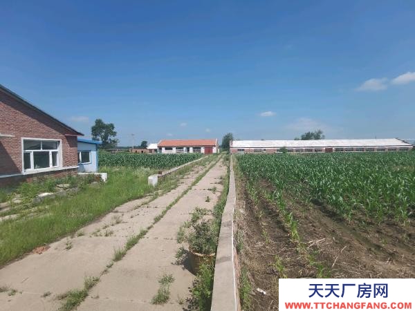 富裕動力電 交通便利 可做養殖