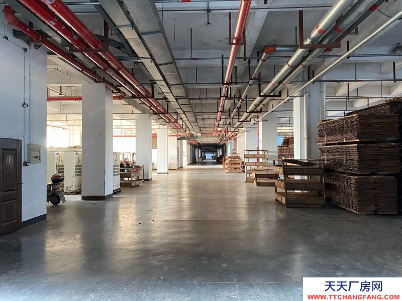 衢州市衢江(出租) 大家居產業園可噴漆粉塵，汽車電梯可上樓，層層都是一樓