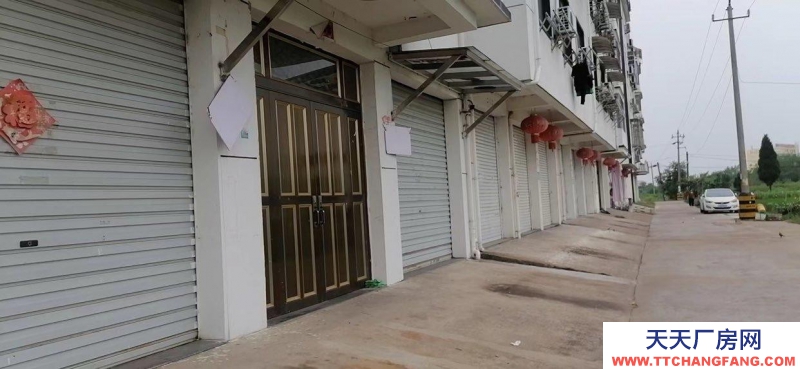 衢州市衢江(出租) 電商、辦公、倉庫新農都一墻之隔、交通方便