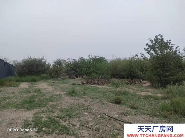 石嘴山市大武口茶葉廠房  城北果園18畝，廠房1200平米