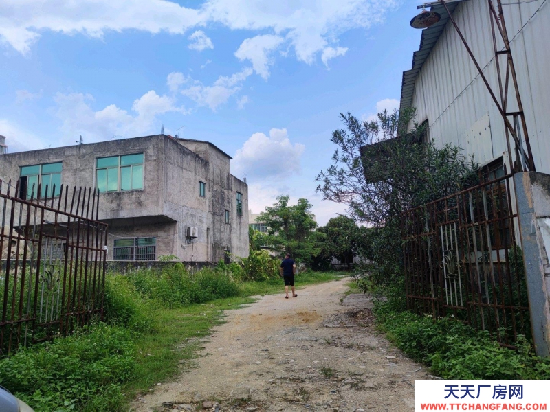 (出租) 潮州饒平新裝修鐵皮廠房,一樓2000平方和800平2個(gè)廠