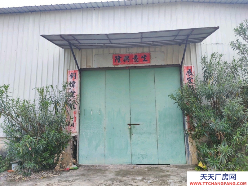 (出租) 潮州饒平新裝修鐵皮廠房,一樓2000平方和800平2個(gè)廠