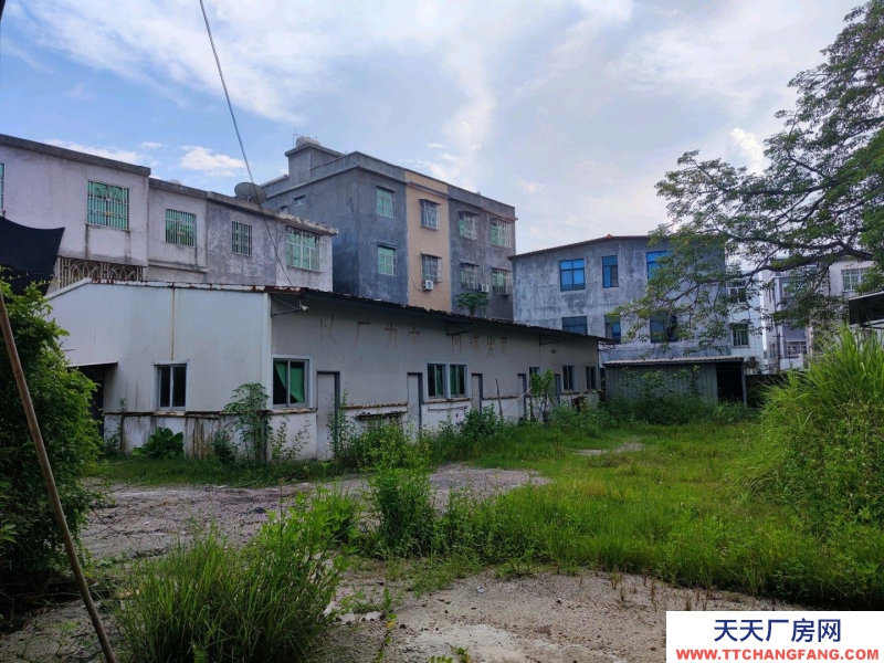 (出租) 潮州饒平新裝修鐵皮廠房,一樓2000平方和800平2個(gè)廠