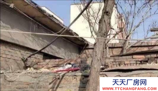 石嘴山市惠農機加工廠房 惠農南街街道寬窄巷子市中心平房便宜出租