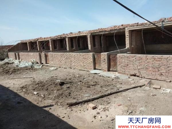 石嘴山市惠農養殖場  出租養殖場，有意者聯系