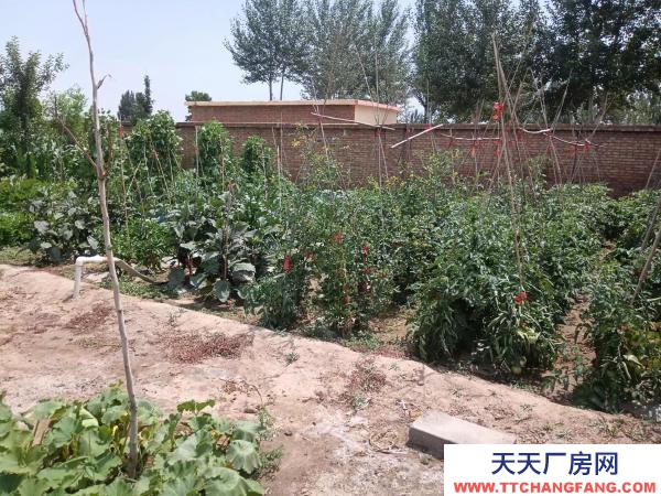 石嘴山市惠農(nóng)機加工廠房 自己的產(chǎn)業(yè),手續(xù)齊全,價格可談出租出售均可談