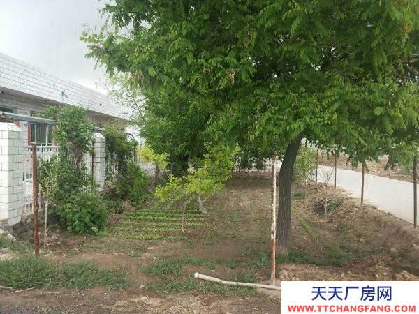 石嘴山市惠農物資倉庫  尾閘鎮中心路 倉庫 2間