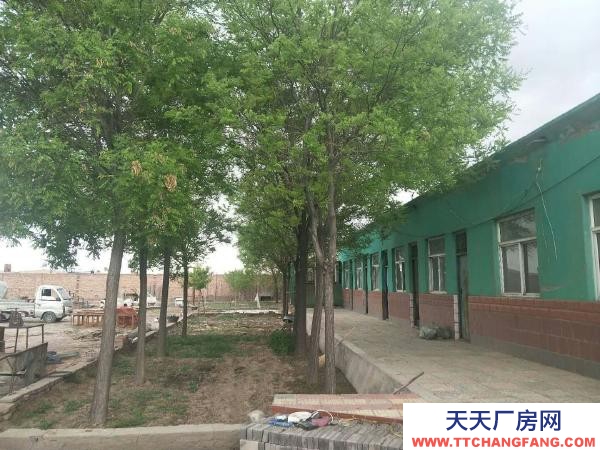 石嘴山市惠農物資倉庫  尾閘鎮中心路 倉庫 2間