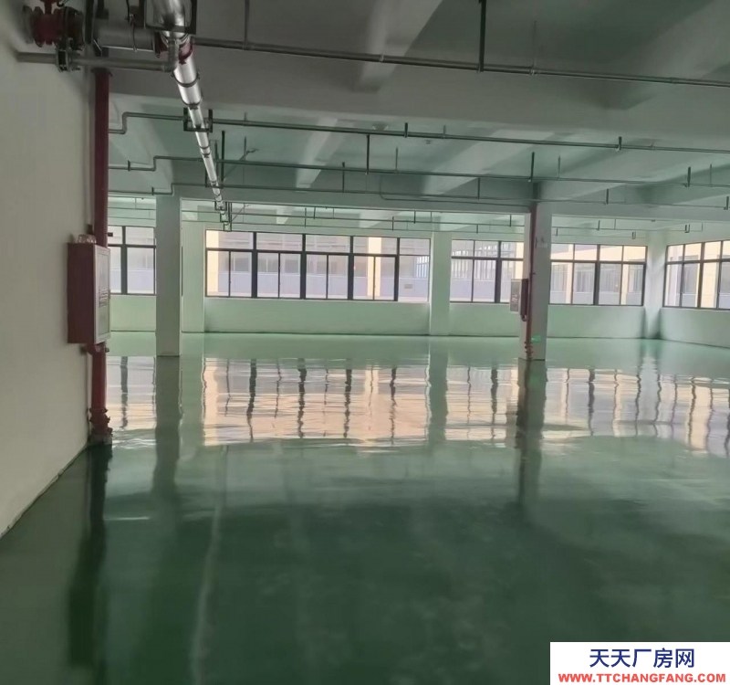 衢州市常山(出租) 常山萬(wàn)洋叢創(chuàng)城二樓一個(gè)樓層