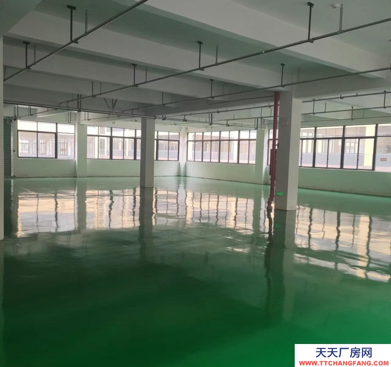 衢州市常山(出租) 常山萬洋叢創城二樓一個樓層