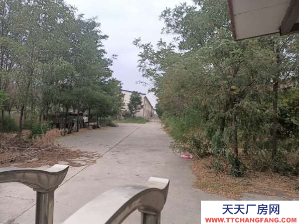 中衛(wèi)市沙坡頭物資倉庫 出租沙坡頭旅游購物廣場(chǎng)