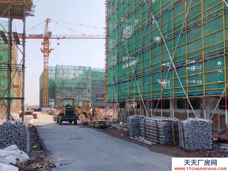 衢州市常山(出售) 紅本廠房,50年產(chǎn)權(quán),兩證齊全