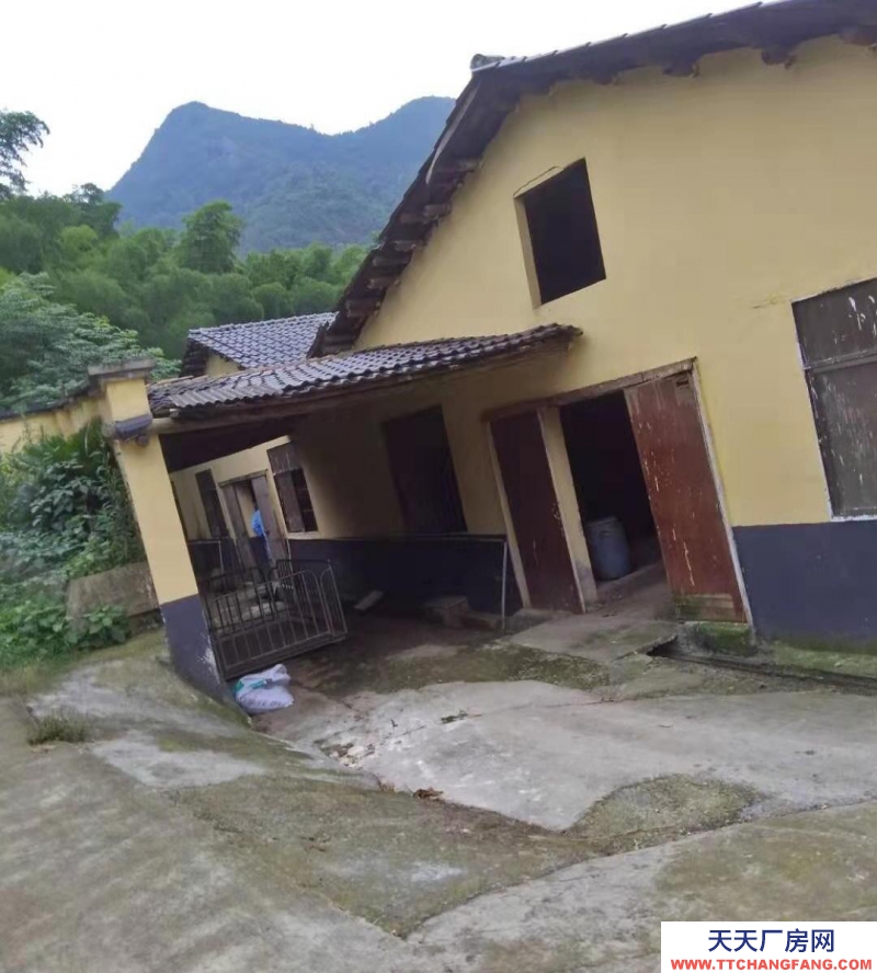 衢州市常山(出售) 大型養豬場出租和轉賣
