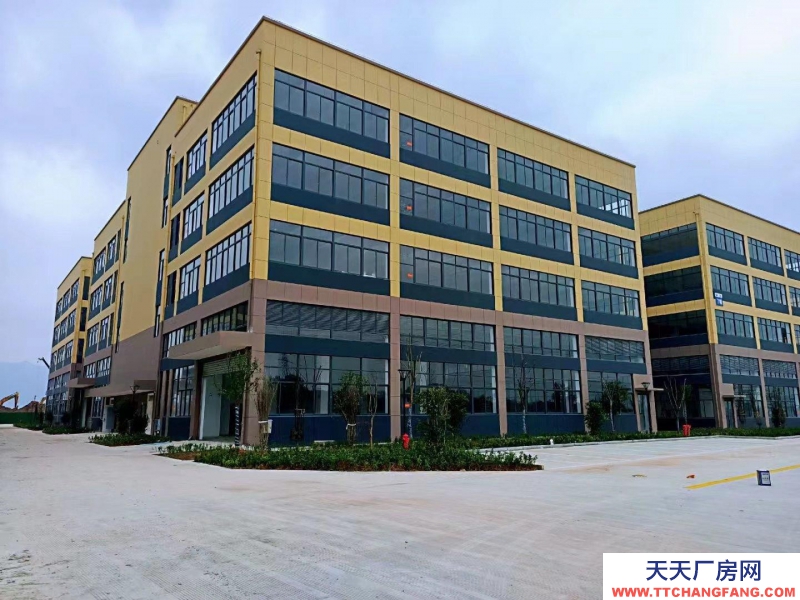 衢州市常山(出售) 標(biāo)準(zhǔn)廠房，4層，單層面積1200，一樓層高7.5米