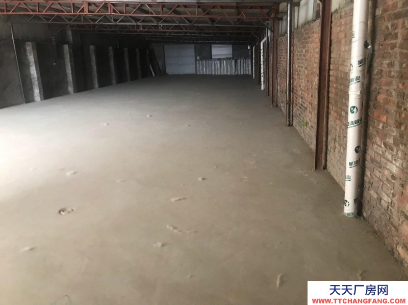 滄州 鹽山(出租) 適合倉庫、電商,二手車等多種用途